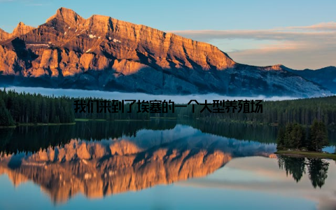 我们来到了埃塞的一个大型养殖场