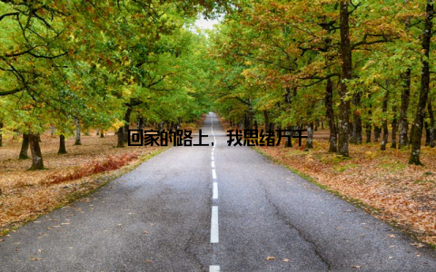 回家的路上, 我思绪万千