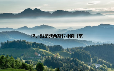 这, 就是陕西畜牧业的日常